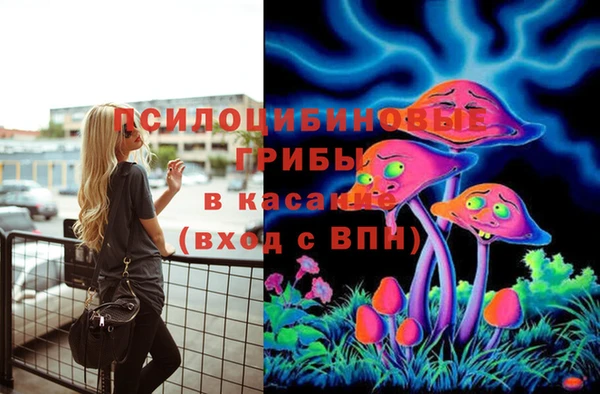 гидропоника Алексин