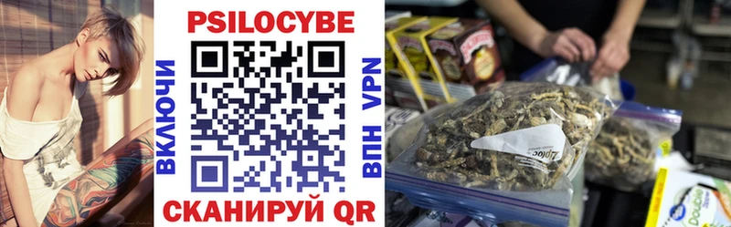 Псилоцибиновые грибы Psilocybine cubensis  Малгобек 